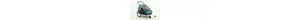 Croozer Kid Plus for 2 ocean blue