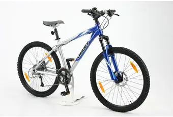 Giant Terrago Disc Rahmenhöhe: 17 Zoll