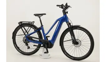 XXL E-Bikes ab RH 60 von Pegasus, Kalkhoff und Bulls