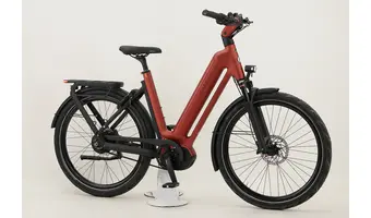 XXL E-Bikes ab RH 60 von Pegasus, Kalkhoff und Bulls