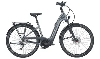 E-Bikes mit Bosch Motor von Pegasus, Cube und Flyer
