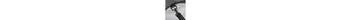 KLICKfix Doggy Transporttasche f. Hunde