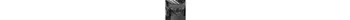 KLICKfix Doggy Transporttasche f. Hunde