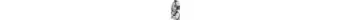KLICKfix Doggy Transporttasche f. Hunde