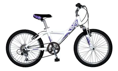 Giant Taffy 125 FS M .20