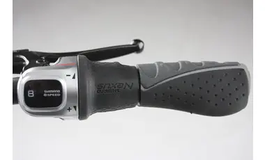 für RABENEICK TX-E Modell 2019, Original Controller