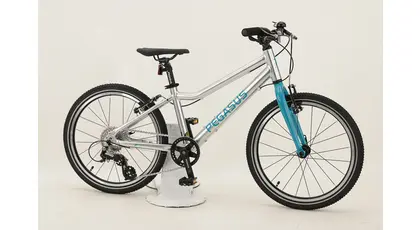 Pegasus Arcona LITE 20 Alu-Lite-Kinderrad 20" 8-Gang Kettenschaltung
