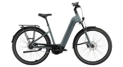 fahrradrahmen trekking herren ROCKBROS RND CB1 Carbon-Trekkingrad Crossbike mit 20-Gang Top 6 Fatbike Modelle Thule Chariot Cross 2 KED - Meggy - Größe:S (46 - 51 cm)