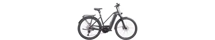 Hercules E-Imperial MAX I-12 Trekking E-Bike 12-Gang Deore Kette + 85Nm + 750Wh + Smart 20,1 Ah unisex 12 Gang Kettenschaltung schwarz Bosch Rahmenhöhe: 45 cm
