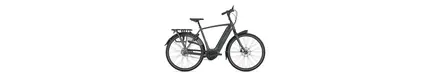 Gazelle Arroyo C5 HMB Elite Trekking E-Bike 5-Gang Rücktrittbremse 75Nm 600Wh Smart Herrenfahrrad 5 Gang Nabenschaltung mit Rücktritt grau Bosch Rahmenhöhe: 61 cm