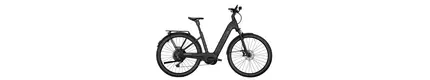 KETTLER Alu-Rad Quadriga CX10 28" E-Bike, 10-Gang Kettenschaltung, Performance Line,800 Wh Akku unisex Kettenschaltung schwarz Bosch Rahmenhöhe: L