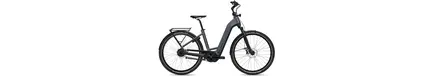 Flyer Gotour 5.43 Comfort E-Bike 28" 5-Gang Freilaufnabe 750Wh Riemenantrieb Smart unisex 5 Gang Nabenschaltung mit Freilauf anthrazit Bosch Rahmenhöhe: M (48 cm)