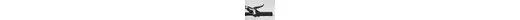 Focus Raven Extreme He26" MTB 20K sw Rahmenhöhe: 52 cm Focus Raven Extreme He26" MTB 20K sw Rahmenhöhe: 52 cm