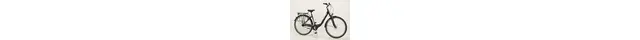 Ragos Hyde Park 7N 28 Zoll Cityrad 7-Gang Rücktrittbremsnabe schwarz Rahmenhöhe: 50 cm