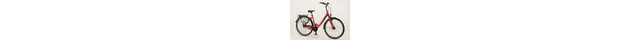Pegasus Solero SL 8 28 Zoll Trekkingbike 8-Gang Rücktrittbremsnabe rot Rahmenhöhe: 55 cm
