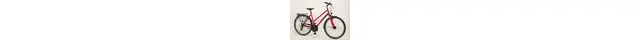 Pegasus Solero SL 24 28" Trekkingbike 24-Gang Kettenschaltung rot Rahmenhöhe: 50 cm