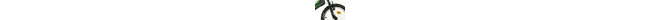 Kawasaki Krunch 16" Kinderrad 16 Zoll kinderfahrrad grün Rahmenhöhe: 25 cm