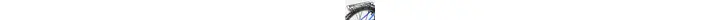 Pegasus Sante 26 Zoll Herrenfahrrad 3 Gang Nabenschaltung blau Rahmenhöhe: 38 cm