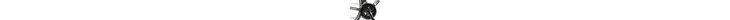 Focus Izalco Race AL 105 28 Zoll 22 Gang Kettenschaltung schwarz Rahmenhöhe: 48 cm