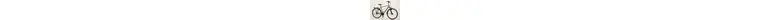 Kalkhoff Image HS 28 Zoll Trekkingrad 8-Gang Rücktrittbremsnabe grau Rahmenhöhe: 55 cm