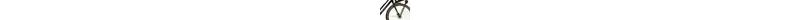 Gazelle Miss Grace 28 Zoll Damenfahrrad 3 Gang Nabenschaltung schwarz Rahmenhöhe: 49 cm