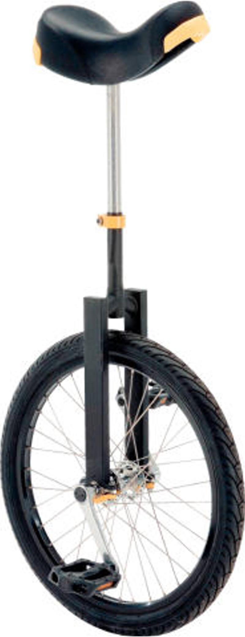Fishbone 20" Einrad Big Tire Geländebereifung