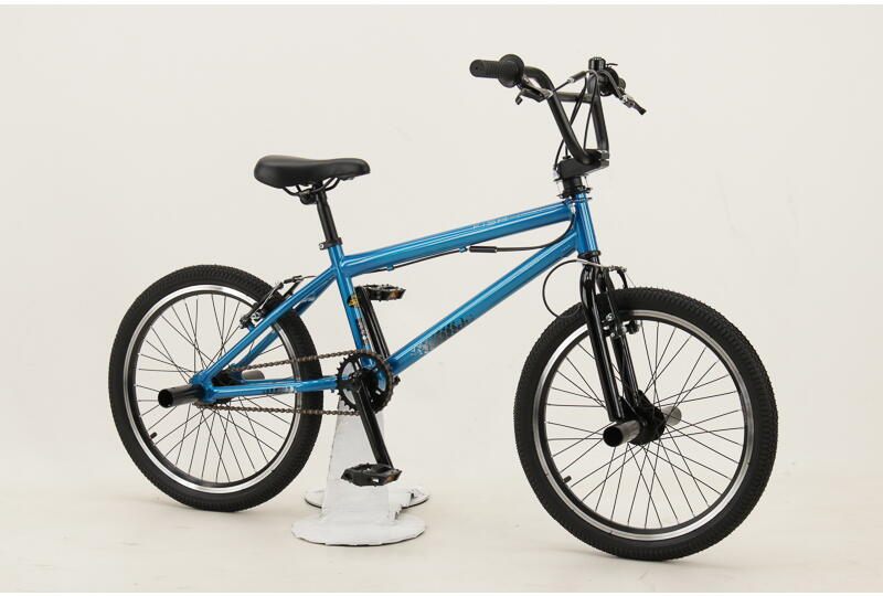 Fishbone P1000 20 Zoll BMX-Rad Singlespeed mit Freilauf blau Rahmenhöhe: 28 cm