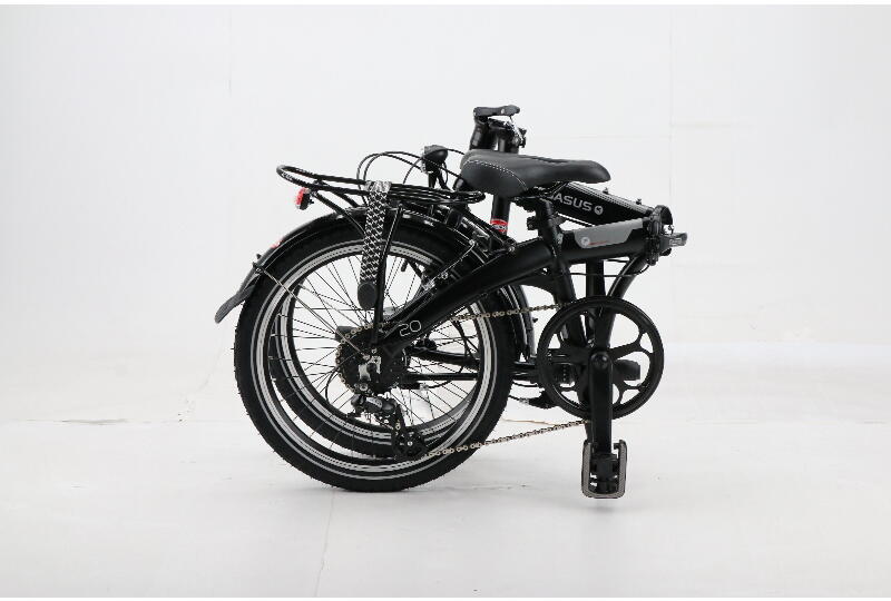 pegasus d3a low faltrad 20