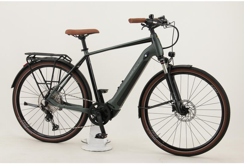 Bulls Urban Evo 12 28 Zoll E-Bike 12-Gang Kettenschaltung 625Wh Akku grün Bosch Rahmenhöhe: 55 cm