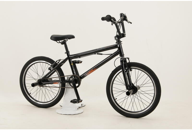 Fishbone P1000 20 Zoll BMX-Rad Singlespeed mit Freilauf schwarz Rahmenhöhe: 28 cm