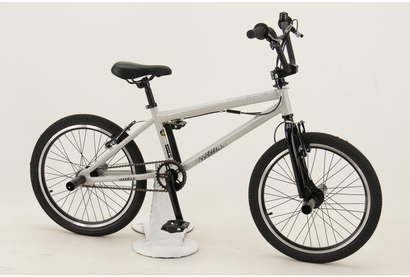 Fishbone P1000 BMX-Rad 20 Zoll Freilaufnabe grau Rahmenhöhe: 28 cm