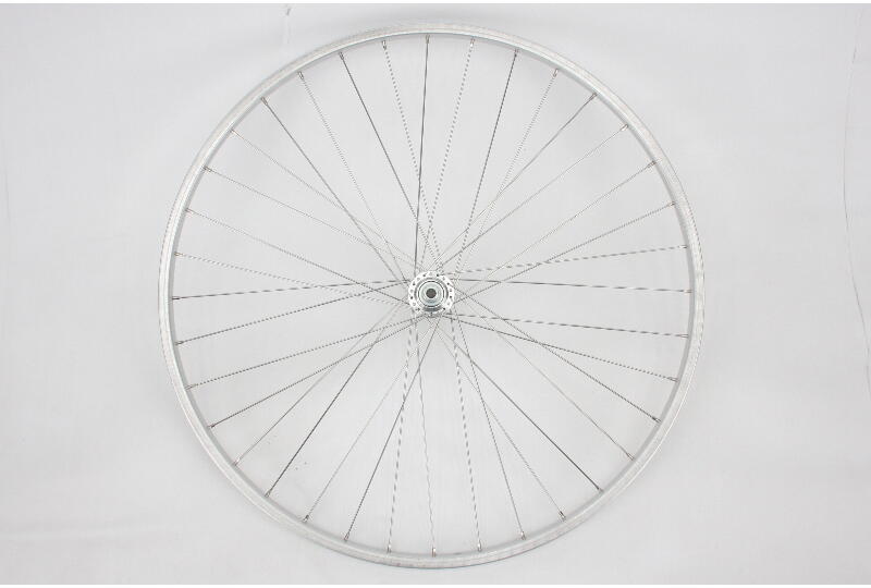 RYDE Sputnik