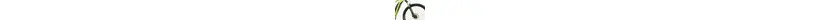 Bergamont E-Revox 5.0 Ah Herrenfahrrad 9 Gang Kettenschaltung lime Bosch Rahmenhöhe: 42 cm