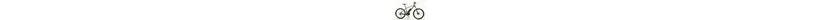 Bergamont E-Roxter 6.0 Ah Herrenfahrrad 9 Gang Kettenschaltung grau Bosch Rahmenhöhe: 42 cm