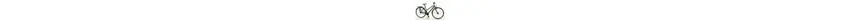 Bulls Urban 8S Eco 28 Zoll Damenfahrrad 8 Gang Nabenschaltung mit Freilauf grau Rahmenhöhe: 44 cm