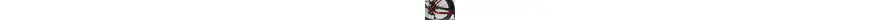 Bulls Allground EVO 29 Zoll E-MTB 9-Gang Kettenschaltung 750Wh Akku rot Bosch Rahmenhöhe: S (45 cm)