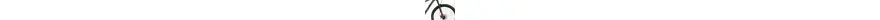 Focus Whistler SL 29 Zoll Herrenfahrrad 22 Gang Kettenschaltung grau Rahmenhöhe: 40 cm 312358-02.jpg