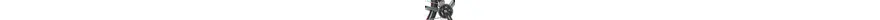 Focus Whistler SL 29 Zoll Herrenfahrrad 22 Gang Kettenschaltung grau Rahmenhöhe: 40 cm 312358-04.jpg