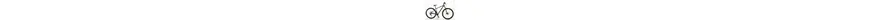 Focus Whistler SL 29 Zoll Herrenfahrrad 22 Gang Kettenschaltung grau Rahmenhöhe: 40 cm 312358-01.jpg