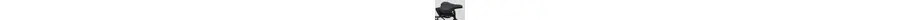 Pegasus Premio Evo 5F Lite Comfort E-Bike 5-Gang Freilaufnabe 625Wh Akku grau Bosch Rahmenhöhe: 45 cm