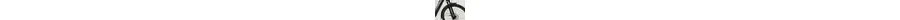 Pegasus Premio Evo 5F Lite Comfort E-Bike 5-Gang Freilaufnabe 625Wh Akku grau Bosch Rahmenhöhe: 45 cm
