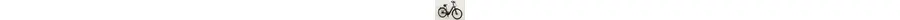 Pegasus Premio Evo 5F Lite Comfort E-Bike 5-Gang Freilaufnabe 625Wh Akku grau Bosch Rahmenhöhe: 45 cm