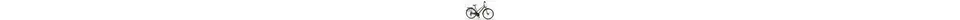Pegasus Corona Disc Trekkingrad 21 Gang 28 Zoll Damenfahrrad 21 Gang Kettenschaltung grau Rahmenhöhe: 45 cm
