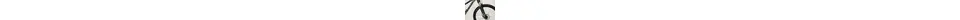 Bulls Sharptail 3 Disc 29 Zoll Hardtail-MTB Offroad 27 Gang Kettenschaltung grau Rahmenhöhe: 41 cm 814124-03.jpg