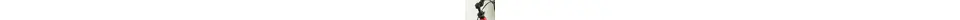 Flyer Gotour6 7.03 Pedelec 8-Gang Freilauf Ah Damenfahrrad 8 Gang Nabenschaltung rot Bosch Rahmenhöhe: 45 cm