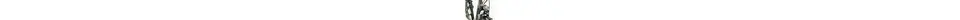 Westland Prime CX1 E-Bike 28 Zoll 10-Gang Kettenschaltung 500Wh 13,4Ah Akku schwarz Bosch Rahmenhöhe: 49 cm