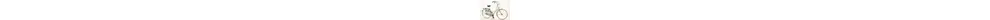 Excelsior Luxus ND TB Nostalgie Hollandmodell 28 Zoll Damenfahrrad 3 Gang Nabenschaltung grün Rahmenhöhe: 50 cm