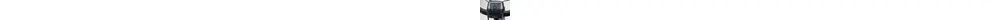 Westland On Tour City- Trekking E-Bike 5-Gang Rücktrittbremsnabe 625Wh 16,7 Ah Akku grau Bosch Rahmenhöhe: 53 cm