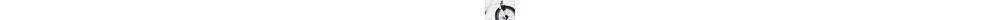 Kalkhoff Sahel Compact Impulse 8 15 Ah erwachsenenfahrrad 8 Gang Nabenschaltung weiß Impulse Rahmenhöhe: 46 cm